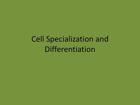 Cell Specialization and Differentiation