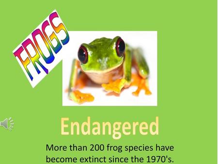 More than 200 frog species have become extinct since the 1970's.