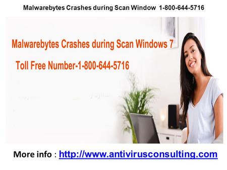 Malwarebytes Crashes during Scan Window 