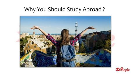 Why you Should Study Abroad ?
