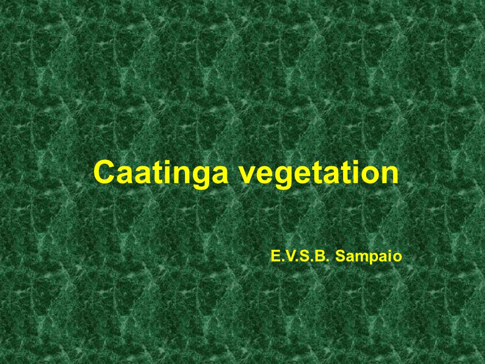 Caatinga Vegetation E V S B Sampaio General Aspects Geography Large Area 1 Million Km 2 All Intertropical 2 18 O S Low Altitudes 1000m High Ppt Download