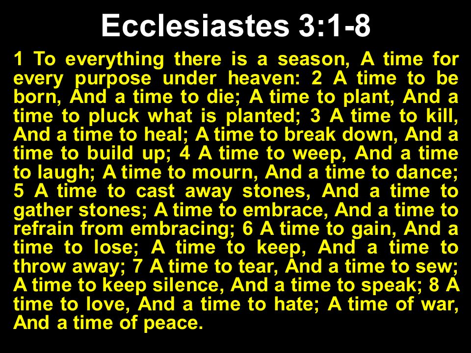 1 To Everything There Is A Season A Time For Every Purpose Under Heaven 2 A Time To Be Born And A Time To Die A Time To Plant And A Time 1 To Everything There Is A Season A Time For Every Purpose Under Heaven 2 A Time To Be Born And A Time To Die A Time To Plant And A Time