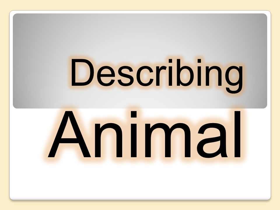 Describing Animal. - ppt download