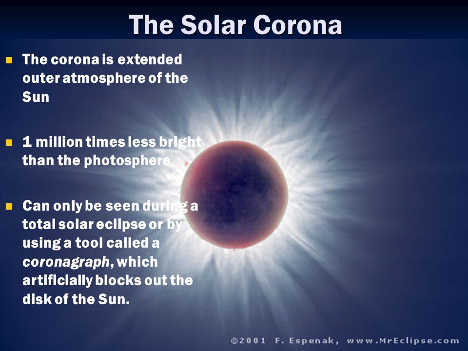 Image result for sun corona