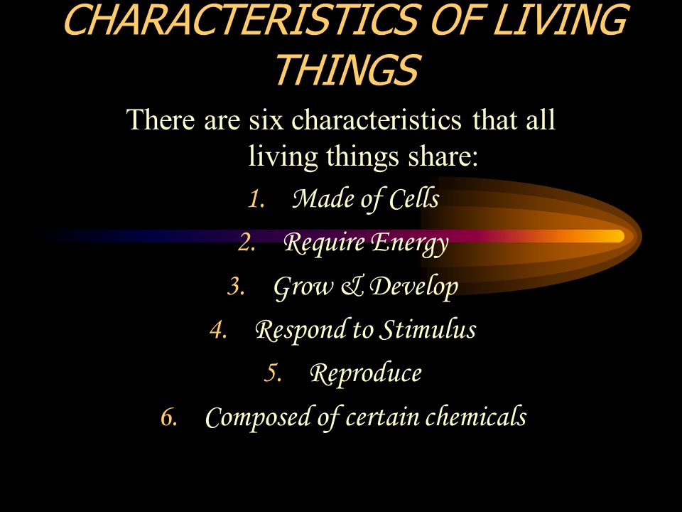 Characteristics Of Living Things Ppt Video Online Download Characteristics Of Living Things Ppt Video Online Download