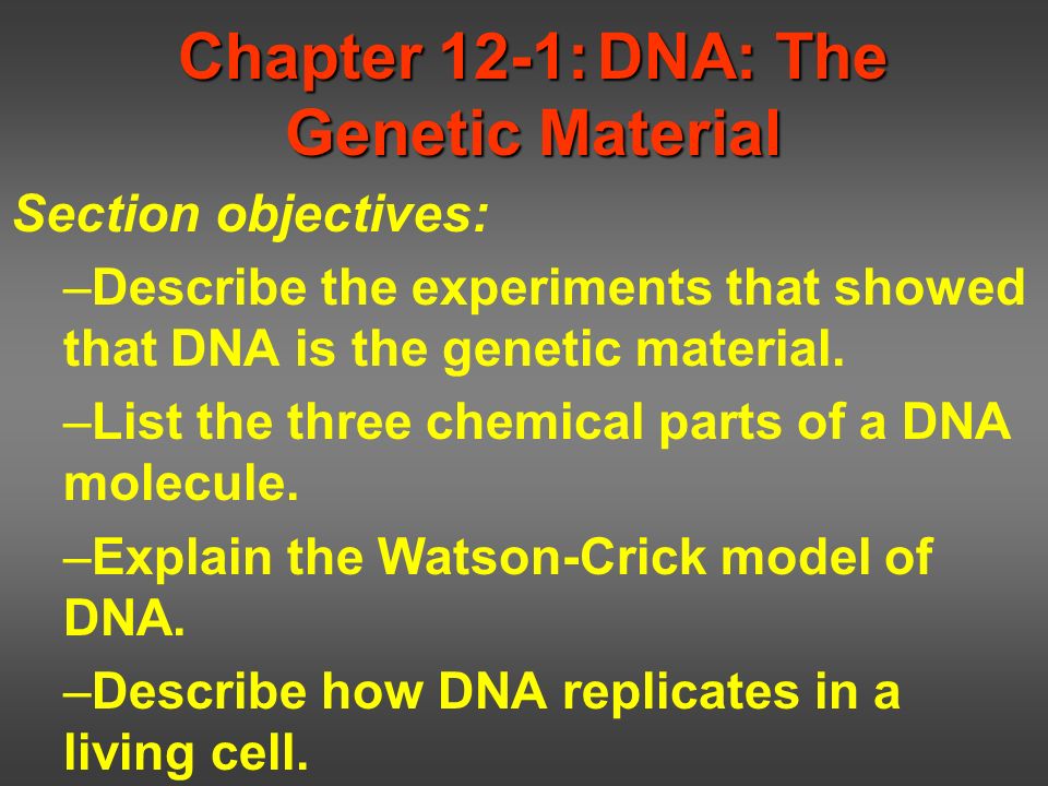 Chapter 12 section 1 dna the genetic material worksheet answers