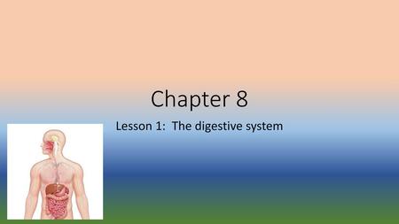 Lesson 1: The digestive system