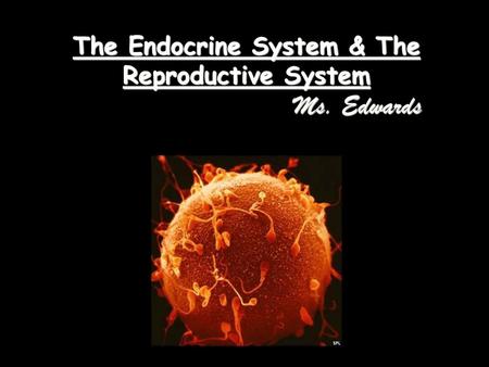 The Endocrine System & The Reproductive System