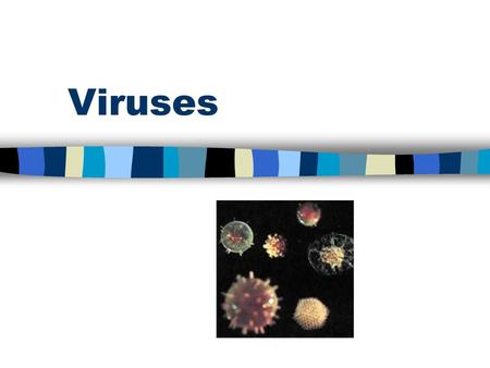 Viruses.