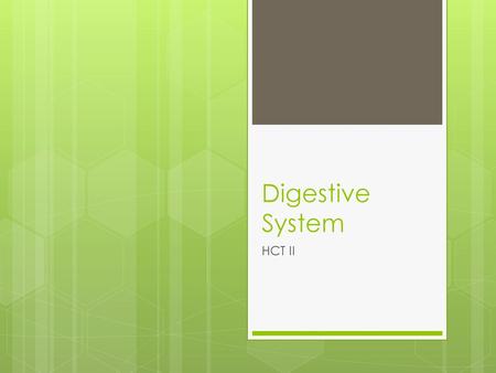 Digestive System HCT II.