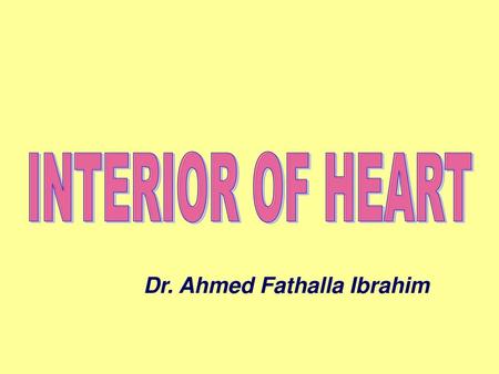 INTERIOR OF HEART Dr. Ahmed Fathalla Ibrahim.
