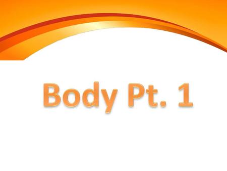 Body Pt. 1.