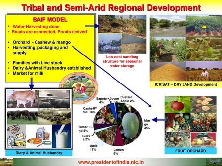 Tribal and Semi-Arid Regional Development