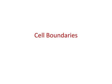 Cell Boundaries.