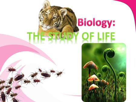 Biology: The Study of Life.