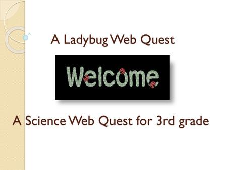 A Ladybug Web Quest A Science Web Quest for 3rd grade