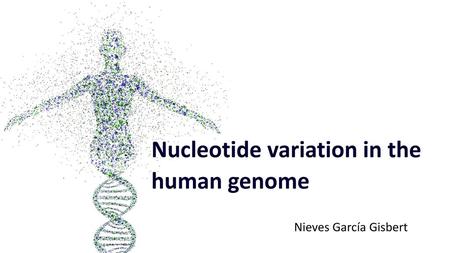Nucleotide variation in the human genome