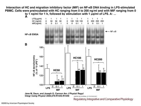 Interaction of HC and migration inhibitory factor (MIF) on NF-κB DNA binding in LPS-stimulated PBMC. Cells were preincubated with HC ranging from 0 to.