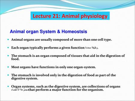 Lecture 21: Animal physiology