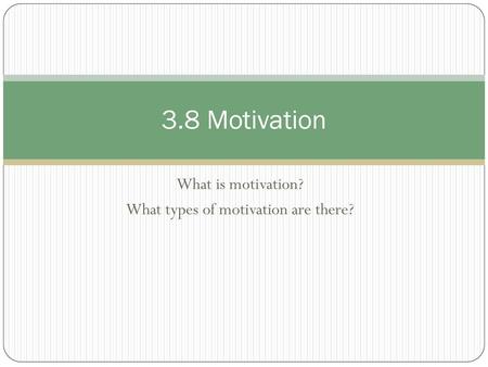 What is motivation? What types of motivation are there?