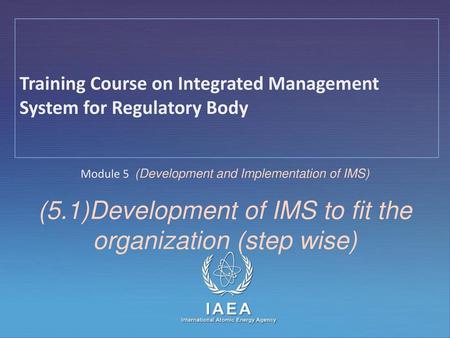 (5.1)Development of IMS to fit the organization (step wise)