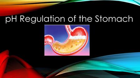 pH Regulation of the Stomach