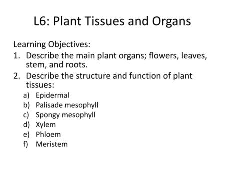 L6: Plant Tissues and Organs