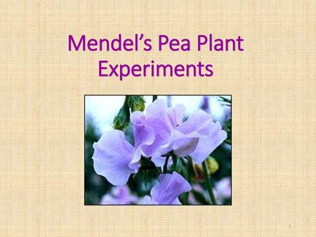 Mendel’s Pea Plant Experiments