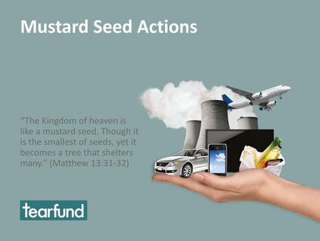 Mustard Seed Actions “The Kingdom of heaven is like a mustard seed. Though it is the smallest of seeds, yet it becomes a tree that shelters many.” (Matthew.