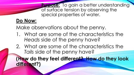 Make observations about the penny.