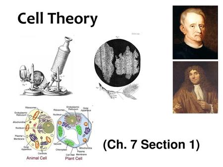 Cell Theory (Ch. 7 Section 1).