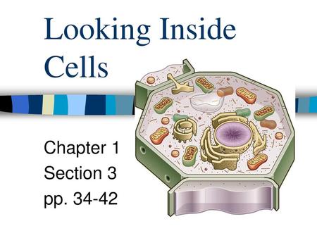 Looking Inside Cells Chapter 1 Section 3 pp. 34-42.