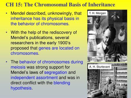 CH 15: The Chromosomal Basis of Inheritance