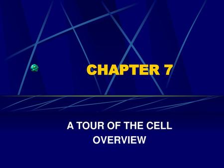 A TOUR OF THE CELL OVERVIEW