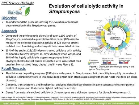 Evolution of cellulolytic activity in Streptomyces