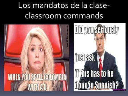 Los mandatos de la clase- classroom commands