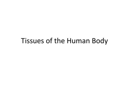 Tissues of the Human Body