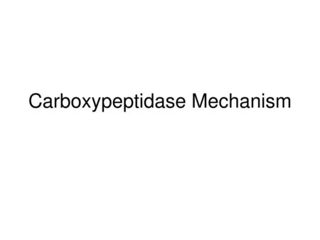 Carboxypeptidase Mechanism