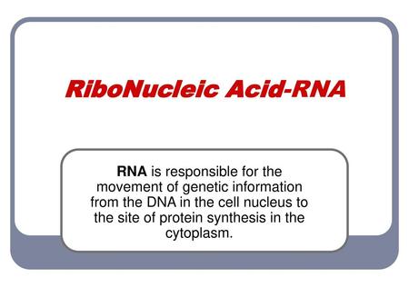RiboNucleic Acid-RNA RNA is responsible for the movement of genetic information from the DNA in the cell nucleus to the site of protein synthesis in the.