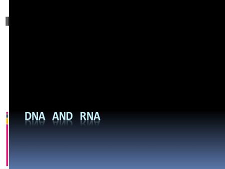 DNA and RNA.