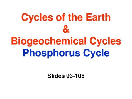 Cycles of the Earth & Biogeochemical Cycles Phosphorus Cycle