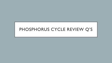 Phosphorus Cycle Review Q’s