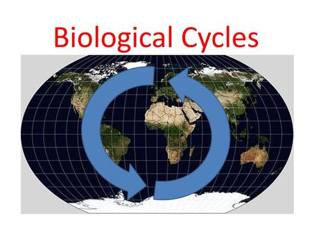 Biological Cycles.
