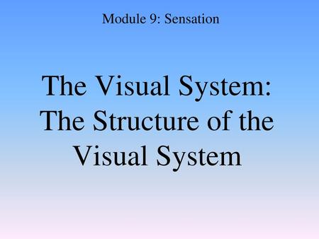 The Visual System: The Structure of the Visual System