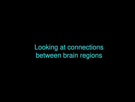 Looking at connections between brain regions