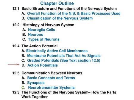 Chapter Outline 12.1 Basic Structure and Functions of the Nervous System A. Overall Function of the N.S. & Basic Processes Used B. Classification of.