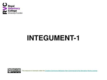 INTEGUMENT-1 This resource is licensed under the Creative Commons Attribution Non-Commercial & No Derivative Works License.