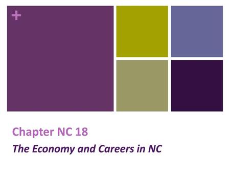 The Economy and Careers in NC