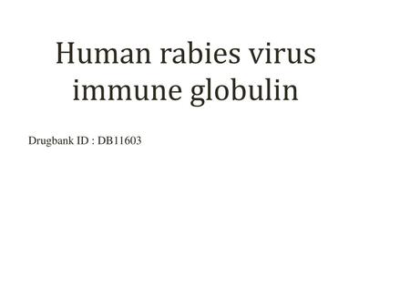 Human rabies virus immune globulin