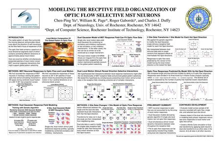 MODELING THE RECPTIVE FIELD ORGANIZATION OF